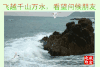 大海 老年人表情 万水千山 看望你 海鸥