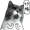 猫猫 鼓掌 可爱 好棒