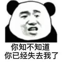 暴漫 熊猫头 你知不知道 你已经失去了我 搞怪 逗
