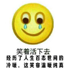 小黄脸 笑哭 黄色 经历了人生百态世间的冷暖这笑容温暖纯真
