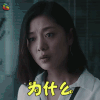 上海女子图鉴 王真儿 罗海燕 为什么 蒙圈 soogif soogif出品