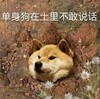 表情 小狗 无语 单身狗再土里不敢说话