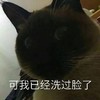 萌宠 猫星人 可我已经洗过脸了 无奈 呆萌 可爱