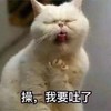 萌宠 喵星人 好恶心 我要吐了 呆萌 搞怪