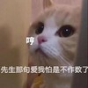 萌宠 猫星人 哼 先生那句爱我怕是不做数了 难受 呆萌 可爱
