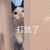 猫 打扰了