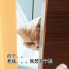 升职加薪 内个 老板 我想升个职