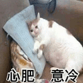 心灰意冷 猫 伤心