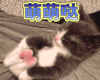 萌 萌萌哒