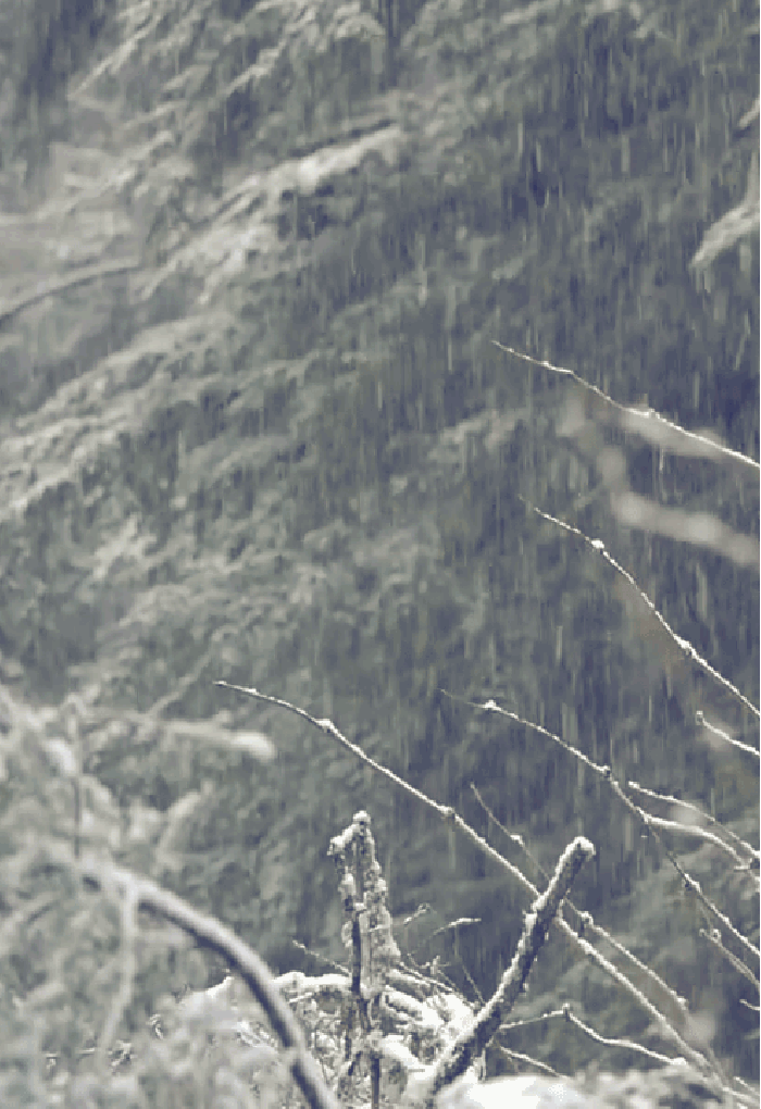 山林 飘雪 风景 美丽