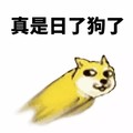 真是日了狗了 卡通 狗狗 黄色