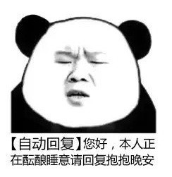 暴漫 熊猫头 你好正在酝酿睡意 自动回复 搞怪 沙雕