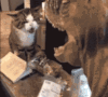 猫咪 恐龙 害怕 撕咬