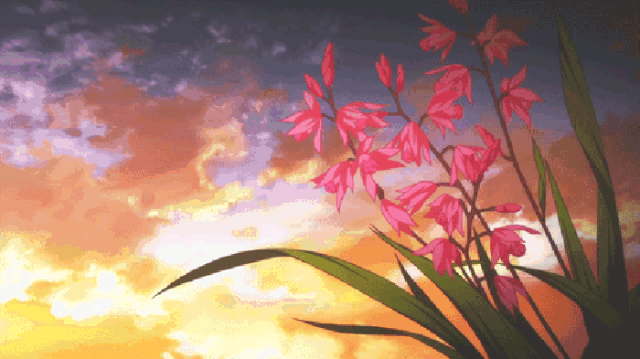 风景 花朵 云彩 夕阳
