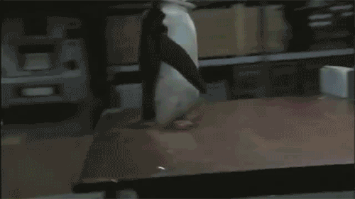 企鹅 乒乓球 乒乓球