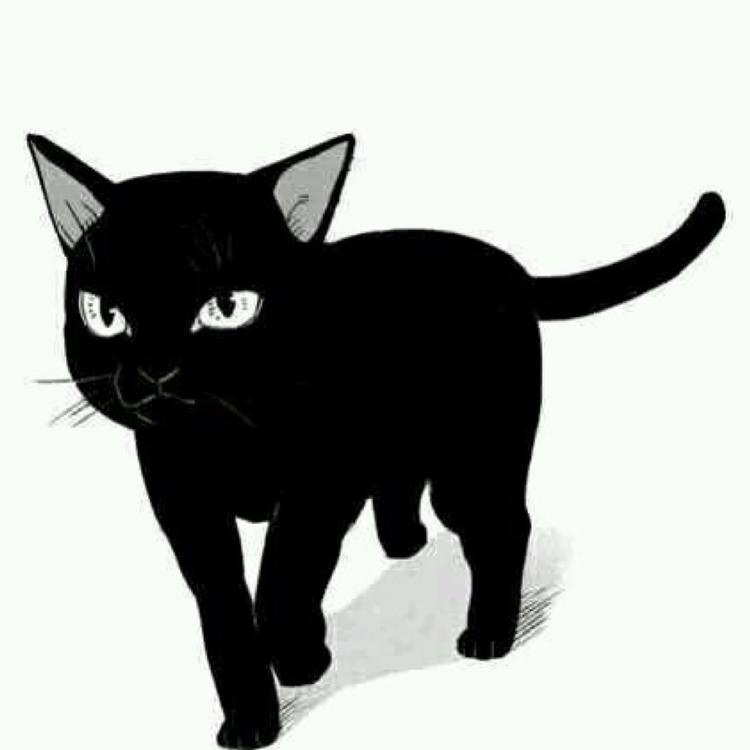 卡通 猫咪 黑色 猫耳朵