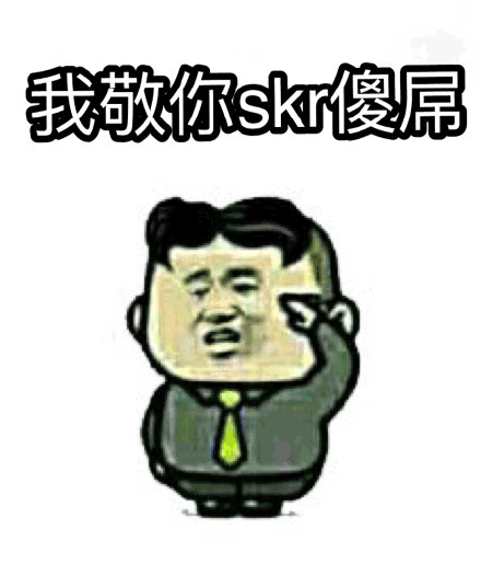 skr 我敬你skr沙雕