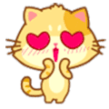 小猫 花痴 可爱 摇晃