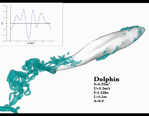 游泳 海豚 模拟 流体动力学 诅咒的树 CFD