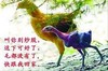 这下可好了 炒股炒得毛都没有了 股市股票 股民散户庄家 炒股上涨下跌 快跟我回家