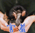 害羞