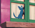 猫咪 抓窗户 窗户