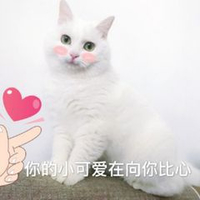 萌宠 猫星人 你的小可爱在向你笔芯 爱你 搞怪 呆萌
