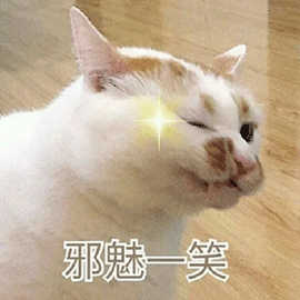 萌宠 猫咪 猫 喵星人 放电 wink 邪魅一笑 撩