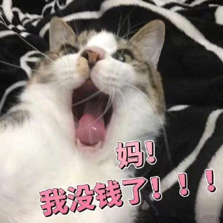搞笑 逗 要零花钱 可爱 表情包