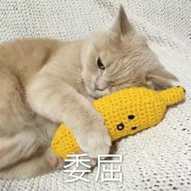 委屈 伤心 猫