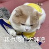 萌宠 喵星人 我很胖吗 我也没有太胖吧 呆萌 可爱
