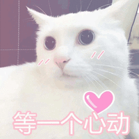 沙雕 沙雕图 沙雕表情包 搞笑 斗图