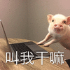 叫我干嘛 小猪 可爱 卖萌 soogif soogif出品