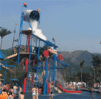 极限挑战 水花 美女 背影