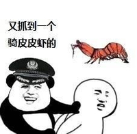 又抓到一个骑皮皮虾的 金馆长 熊猫 警察