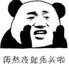 熊猫头 文字表情包 再熬夜就秃头啦 搞笑 魔性 沙雕