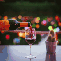 红酒 酒瓶 酒杯 仙人球