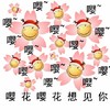 滑稽脸 搞笑 雷人 斗图 嘤花嘤花想见你