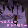 魔兽世界 我能怎么办我也很绝望啊 我能怎么办