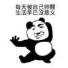 金馆长 熊猫头 每天被自己帅醒 生活早已没意义