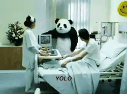 医院 玩偶 熊猫 惊讶 panda