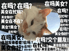沙雕 沙雕图 搞笑表情包 沙雕表情包