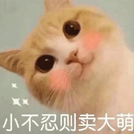 猫 卖萌