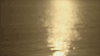 景观 landscape nature 夕阳