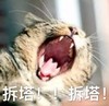 萌宠 喵星人 拆塔 拆水晶 咆哮 搞怪