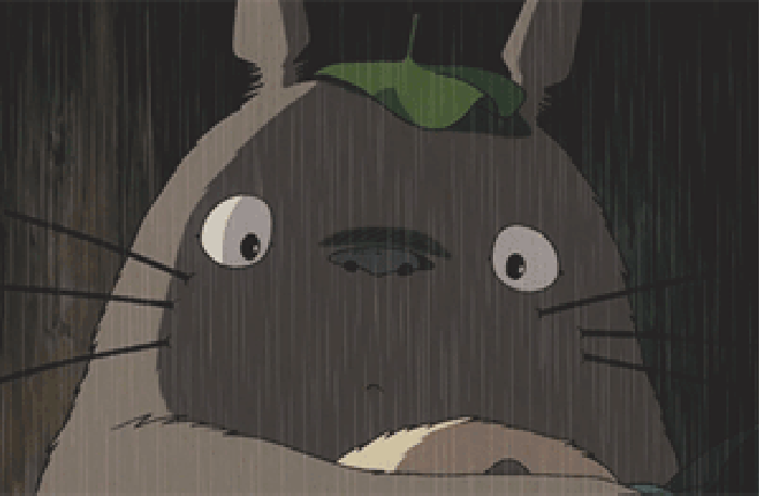 龙猫 下雨 眨眼 淋雨
