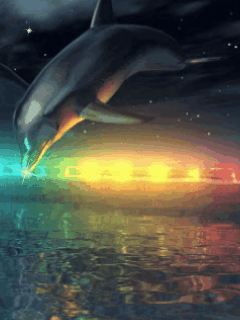 彩虹 海豚