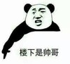 楼下是帅哥 恶搞 欢乐 熊猫