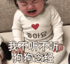 崔李浩 萌娃 我不听不听狗狗念经 可爱 搞笑 萌萌哒
