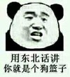 熊猫 逗比 呆萌 用东北话讲 你就是个狗篮子